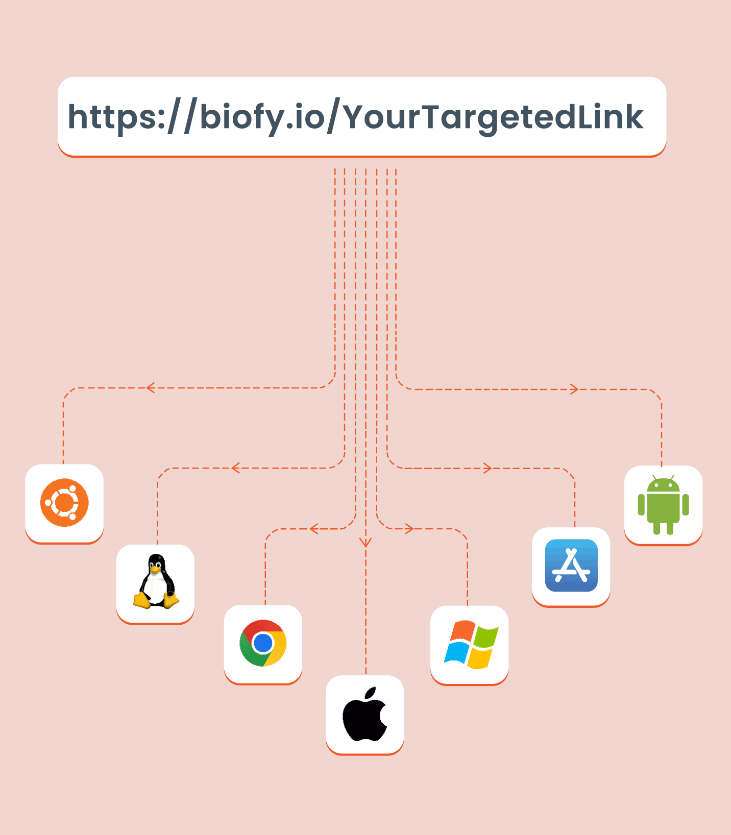 Biofy.io